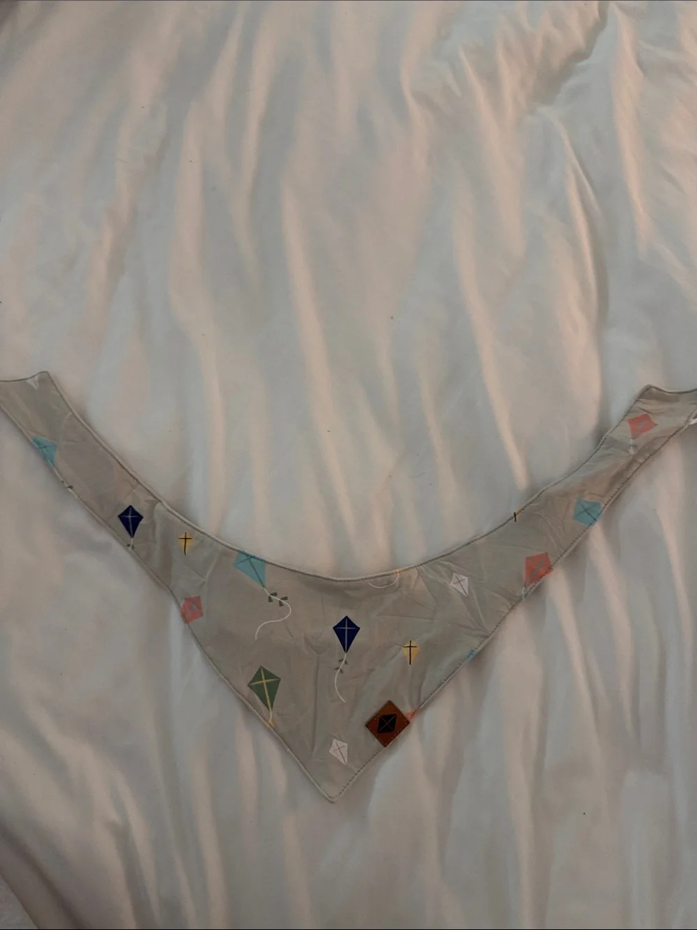 Kyte Baby Kite Print Bandana